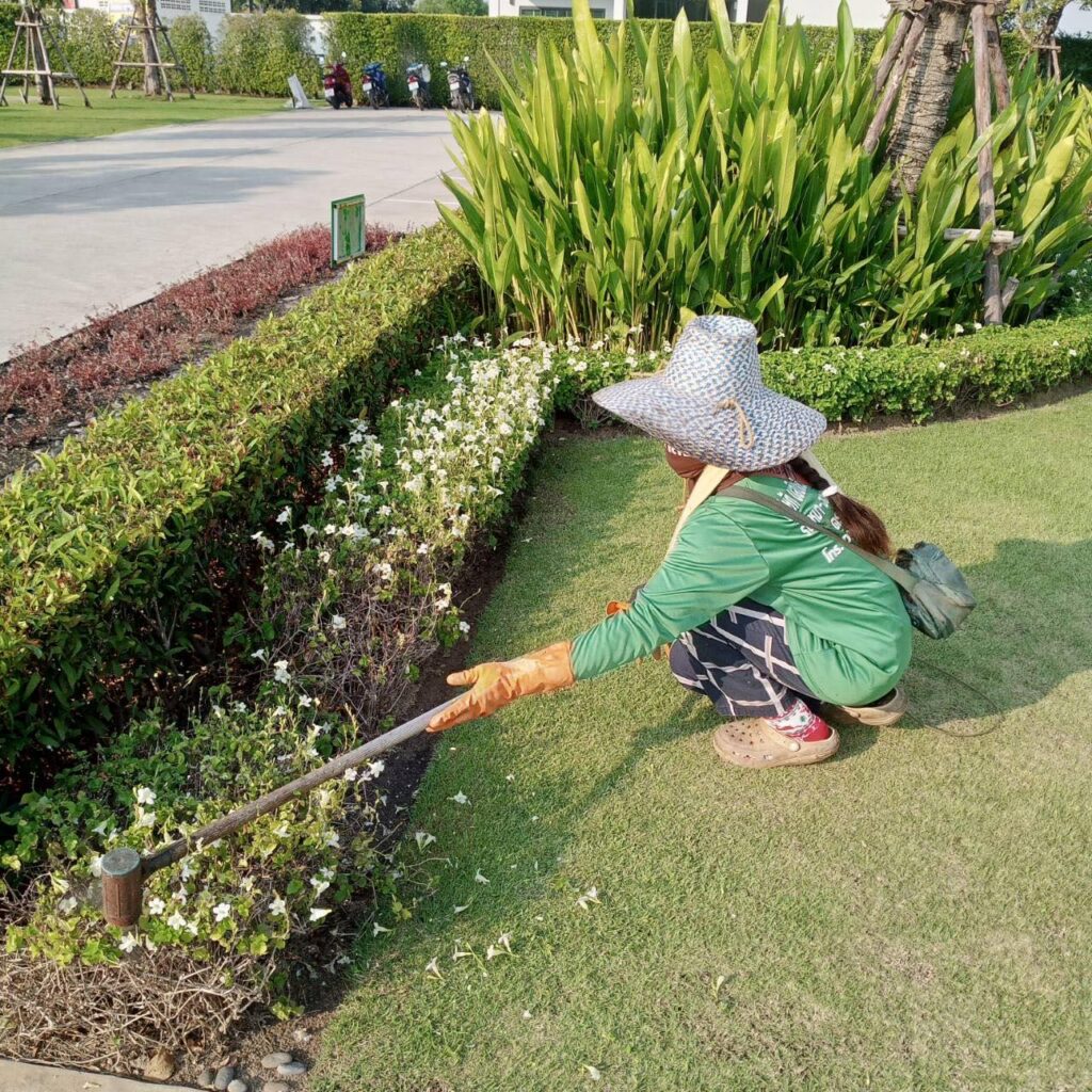 บริการดุแลสวนลดน้ำต้นไม้ ตัดแต่งกิ่งไม้ ซ่อมบำรุงอุปกรณ์ในสวน ให้บริการในเกาะสมุยเท่านั้น