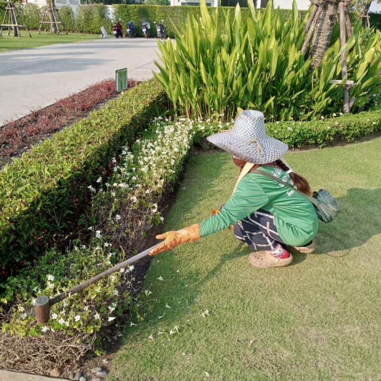 บริการดุแลสวนลดน้ำต้นไม้ ตัดแต่งกิ่งไม้ ซ่อมบำรุงอุปกรณ์ในสวน ให้บริการในเกาะสมุยเท่านั้น